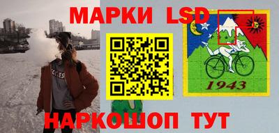 гидра Славгород