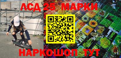 гидра Славгород